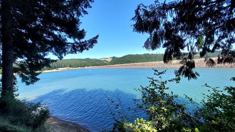 Photo by Roman rosales (Google)