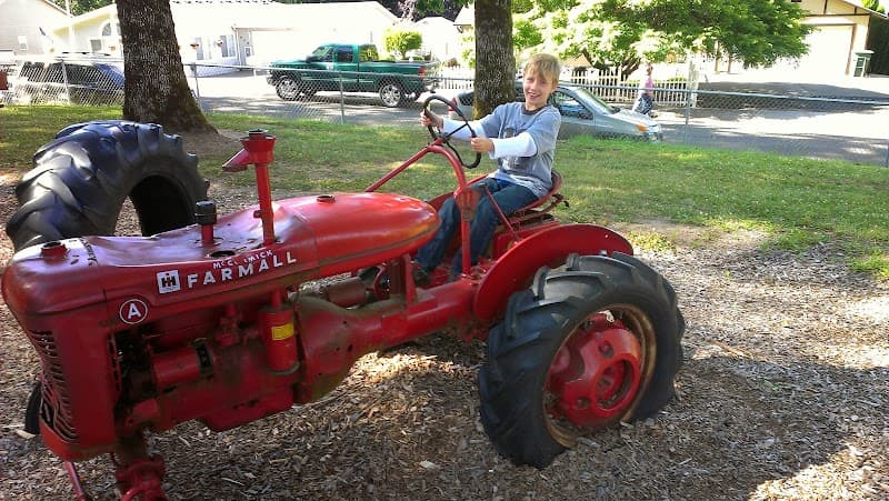 Photo by Shannon (Google)