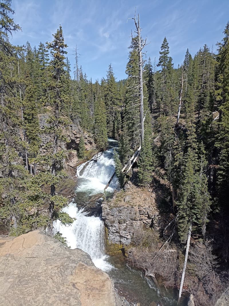 Photo by Vladimiro RUBIU (Google)