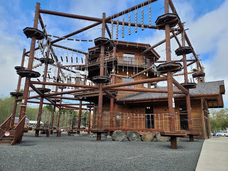 Photo by Shane Morton (Google)