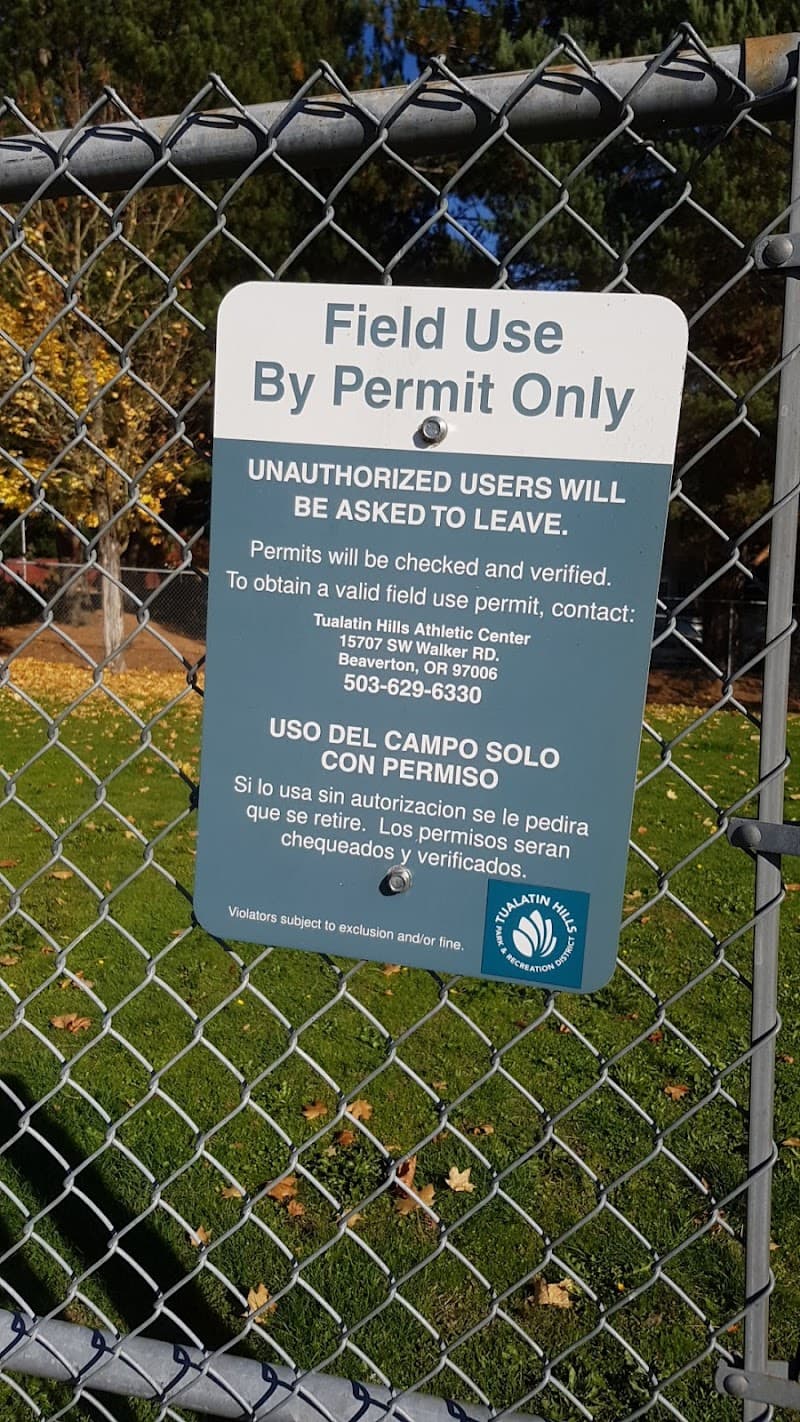 Photo by Sing PaPa (Google)