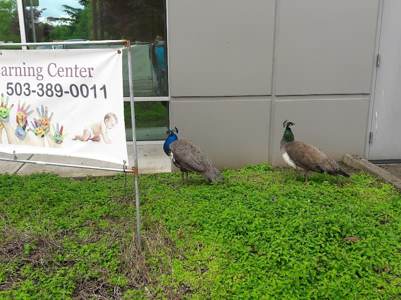 Photo by Ravish Sinha (Google)