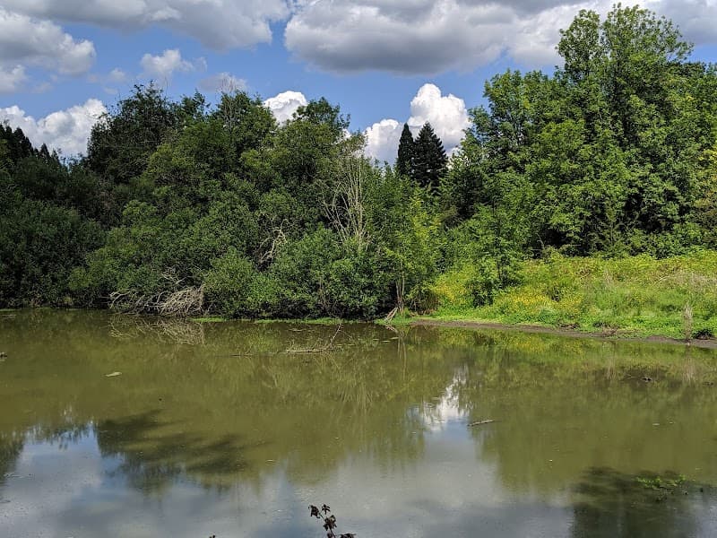 Photo by Ann Martin (Google)