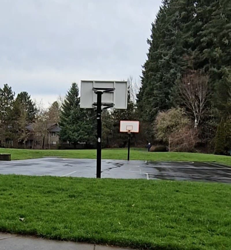 Evergreen basketball court