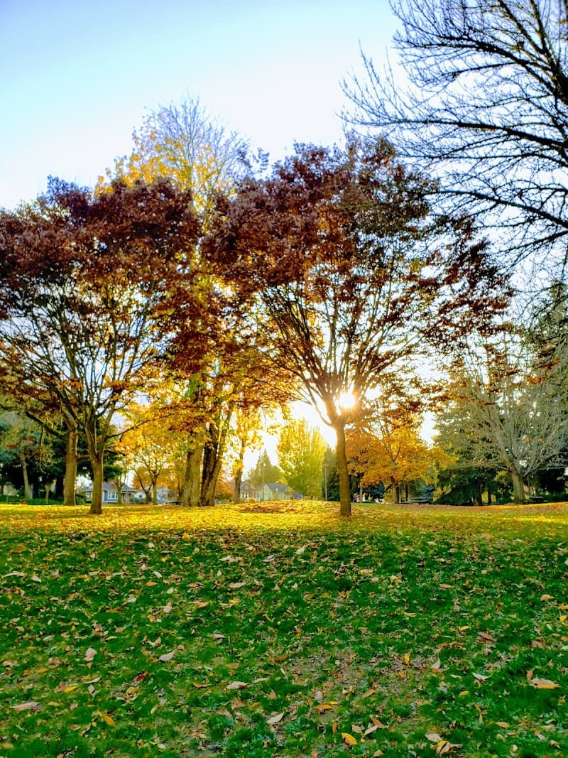 Photo by russ chapman (Google)