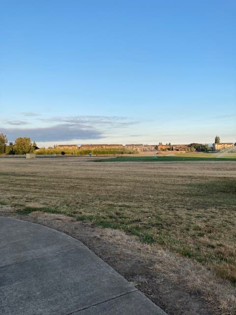 Photo by George Scott (Google)