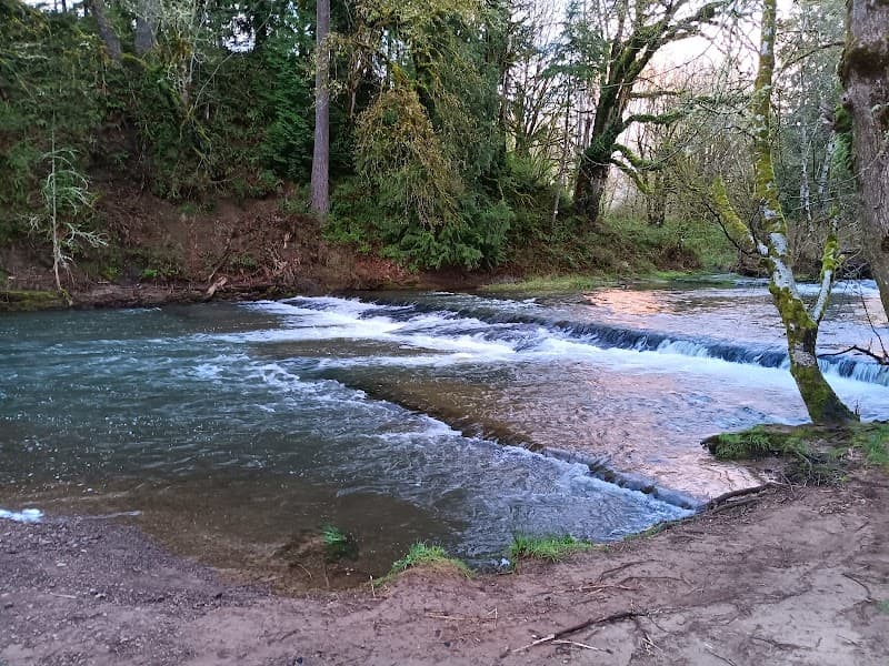 Photo by Mike Hedges (Google)