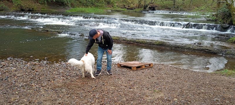 Photo by stephen Stodolski (Google)