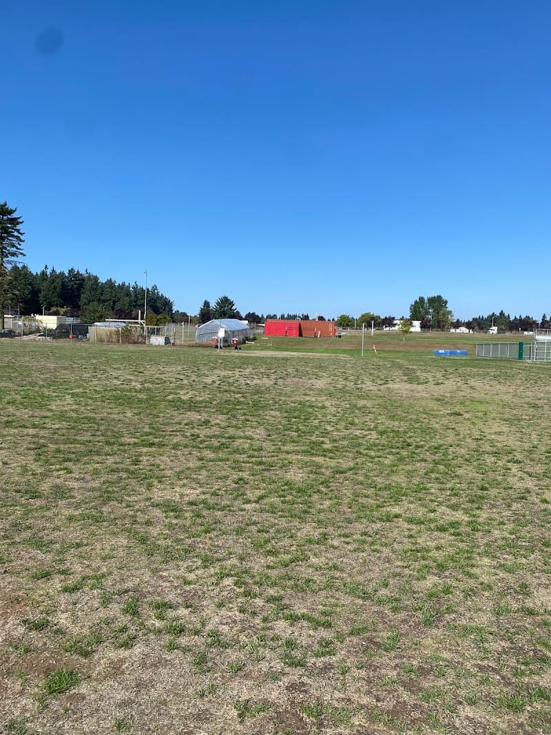 Photo by Morai Ball (Google)