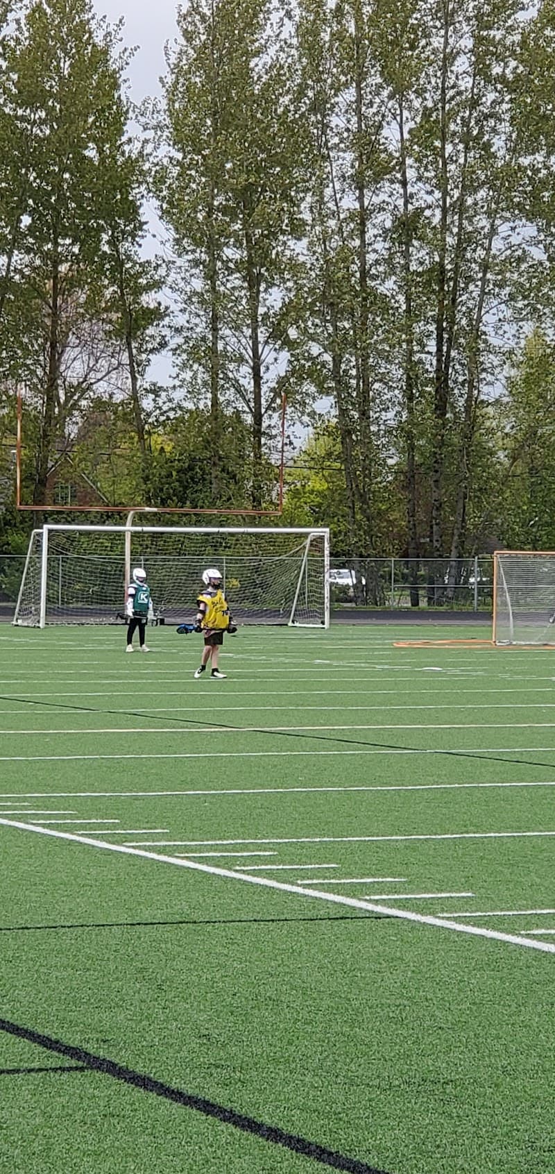 Photo by Tim McIntosh (Google)