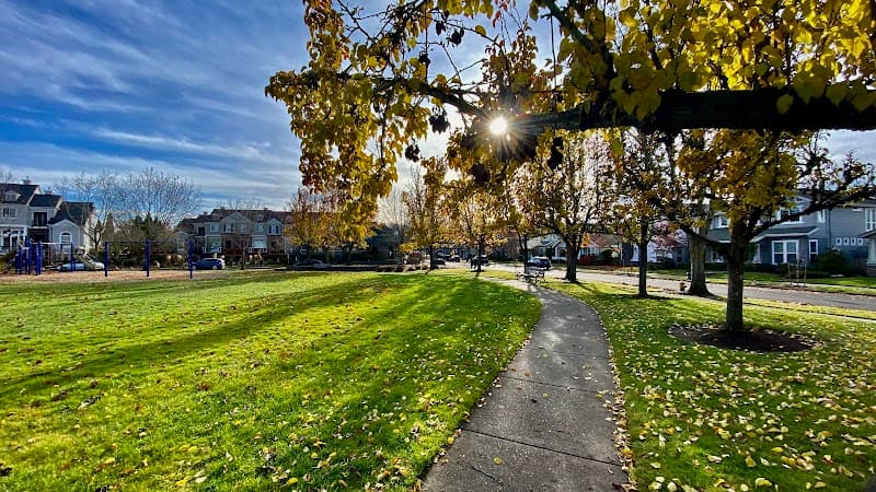 Photo by Pete Pete (Google)