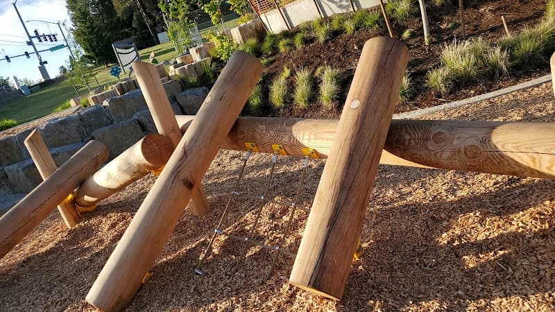 Photo by Arvind Alishetty (Google)