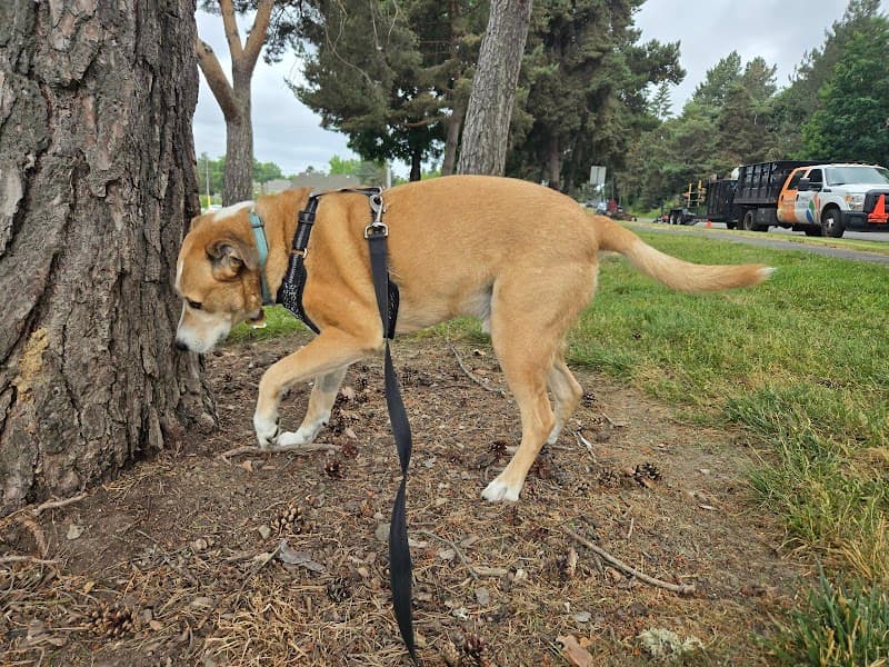 Tualatin Hills Park & Recreation District