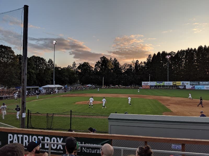 Photo by Benjamin Cecil (Google)