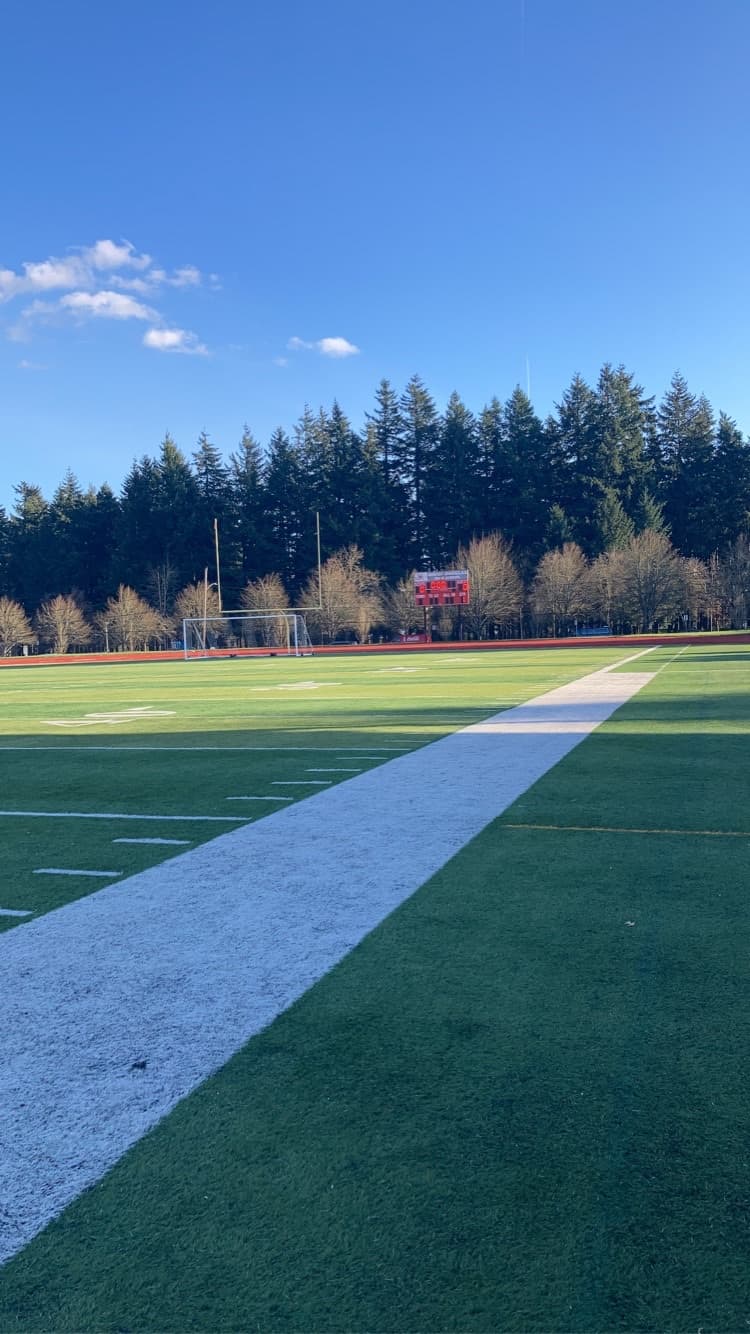 Photo by veronica gomez (Google)