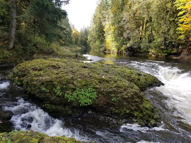 Photo by CynCere One (Google)