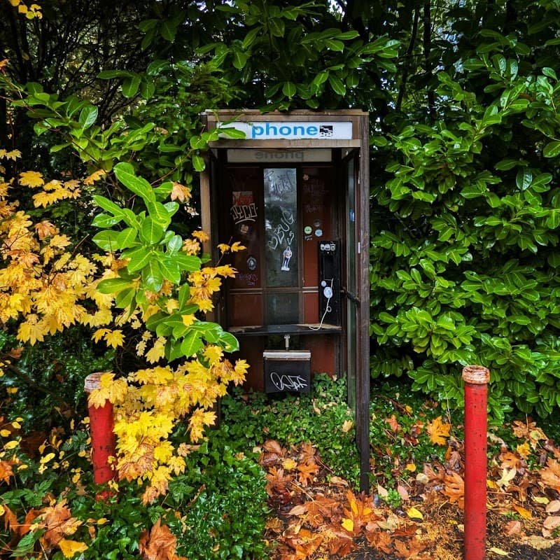 Photo by Seth Dedmon (Google)