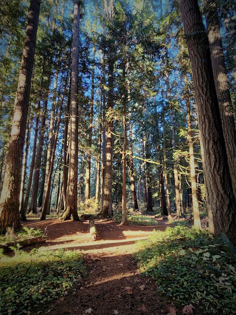 Rainbow Falls State Park