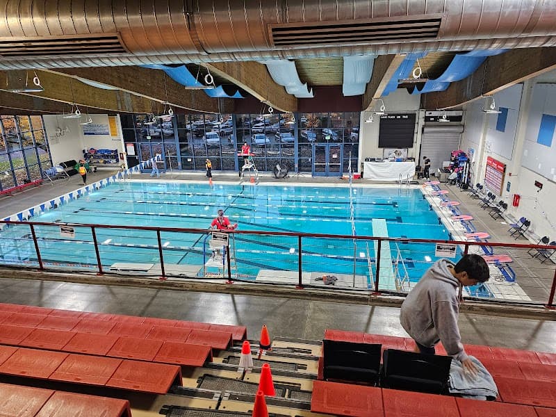 Photo by Kirsten Beier (Google)