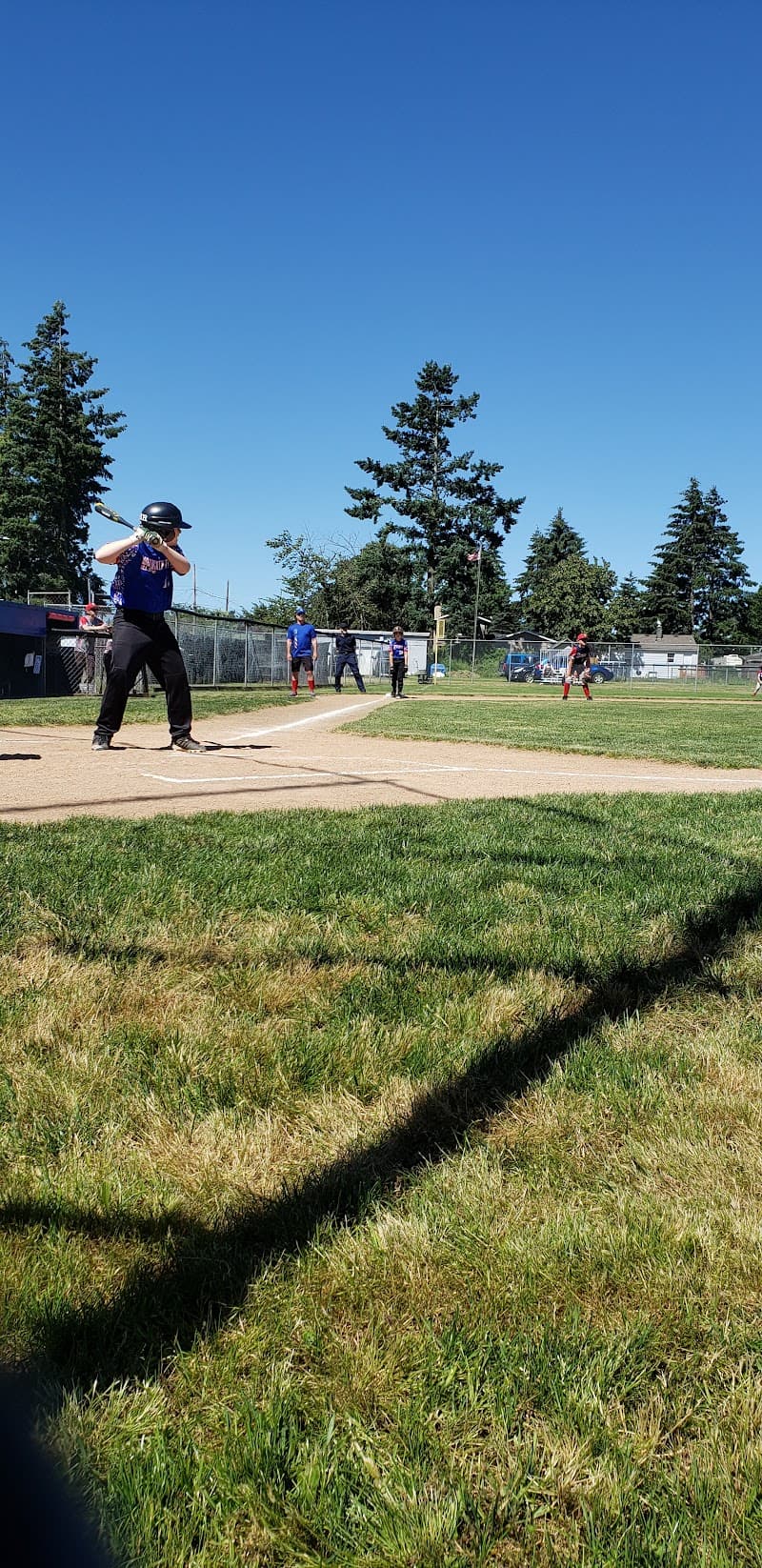 Photo by Steven Knepprath (Google)