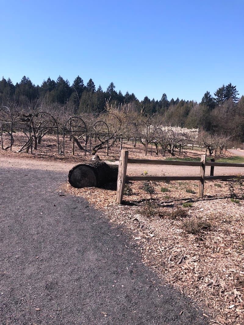 Photo by SteinSays (Google)