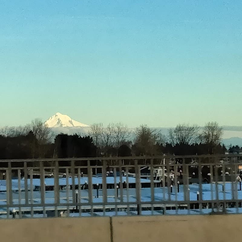 Photo by yosiaki sato (Google)