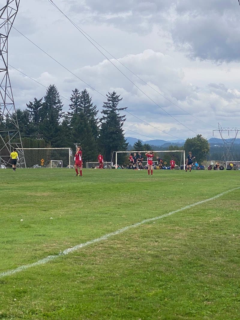 Photo by Lyn Fortner (Google)