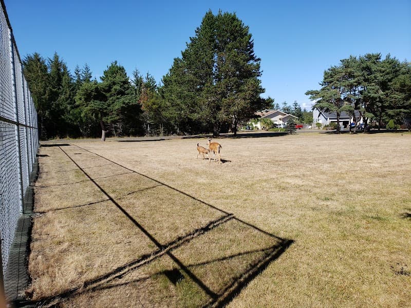 Photo by Phoenix Cheshier (Google)