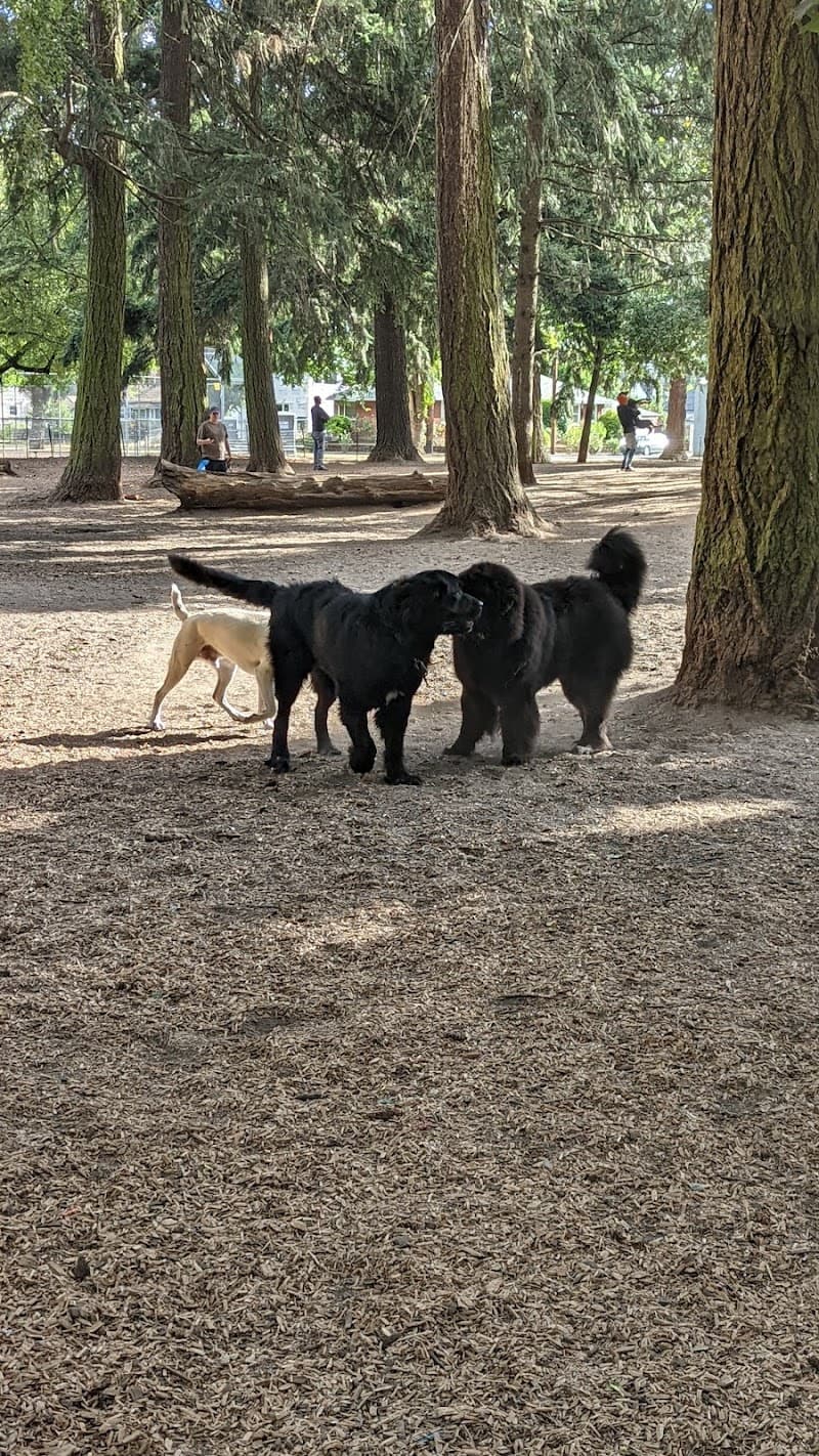 Photo by Daniel Wood (dandalion) (Google)