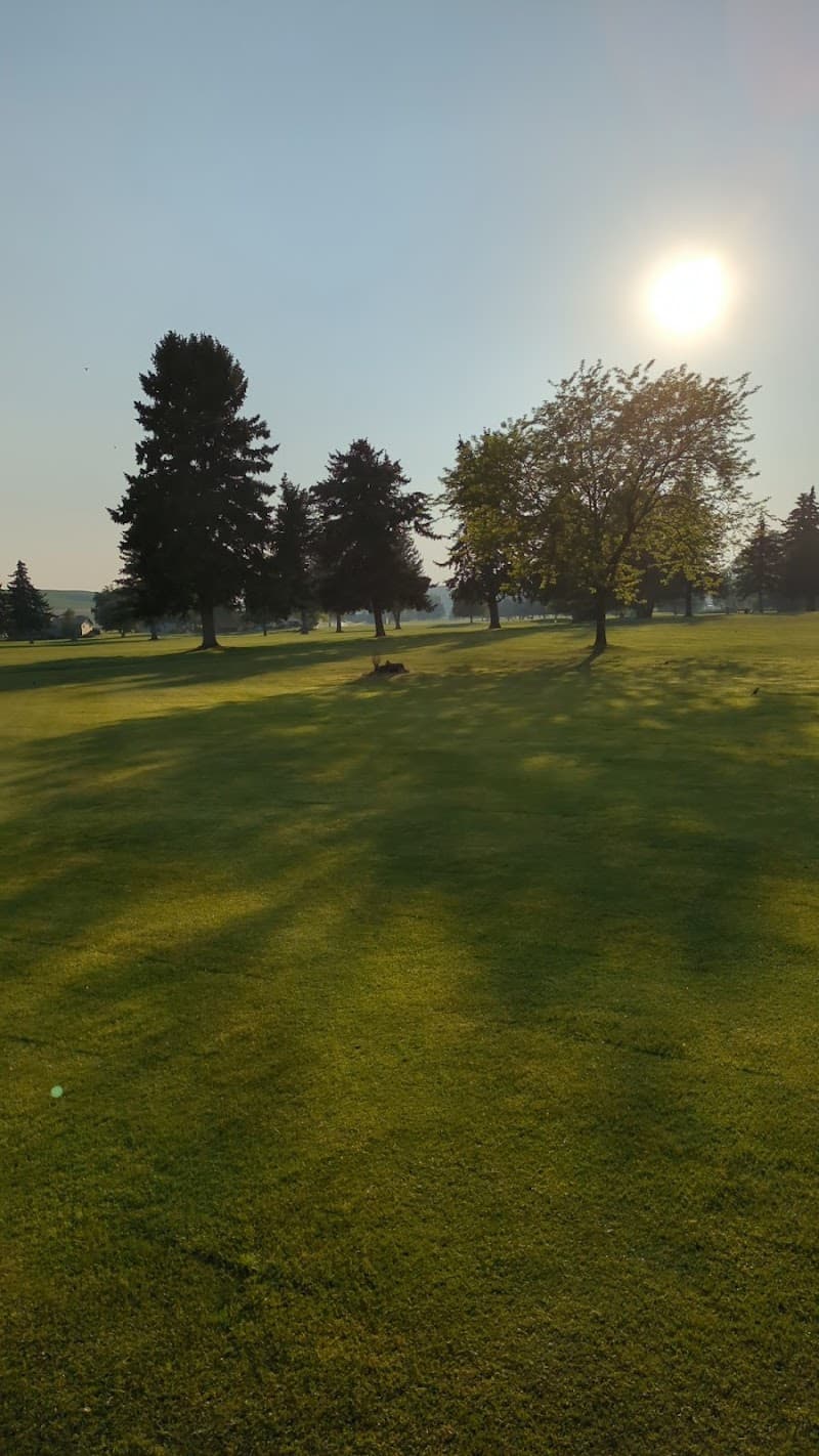 Photo by Josue Jimenez (Google)