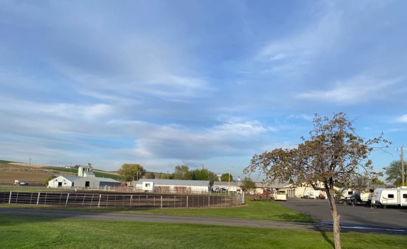 Photo by Blisstina Barreiros (Google)