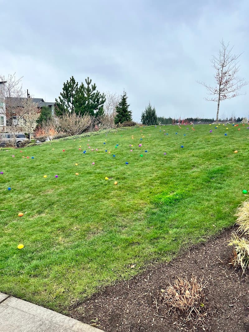 Photo by Smriti (Google)