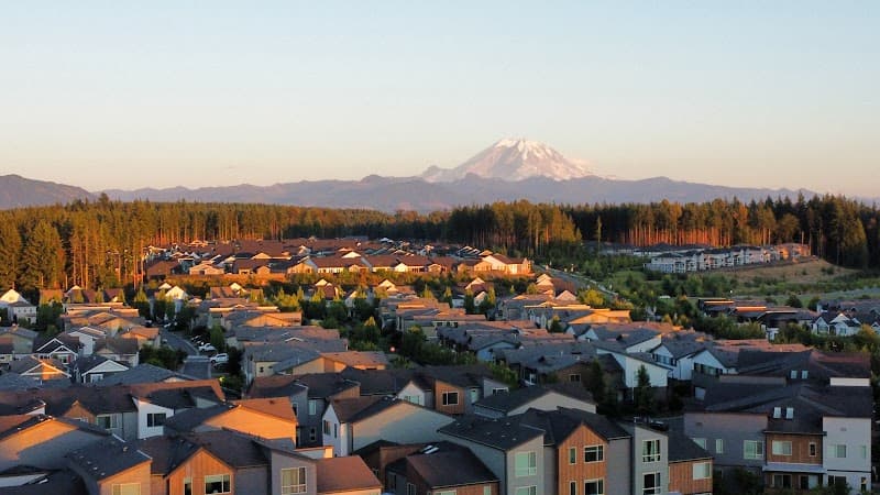 Photo by Shravan Kumar Rajaram (Google)