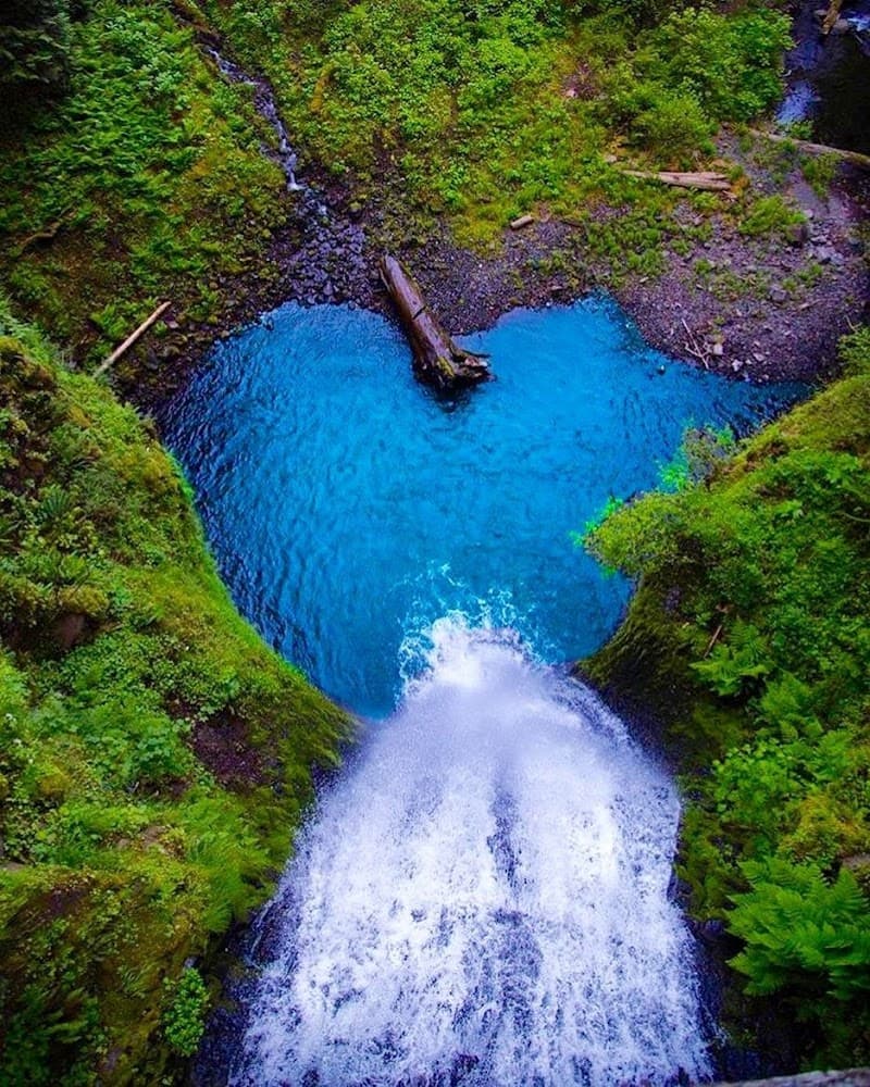 Photo by Sunny Arora (Google)