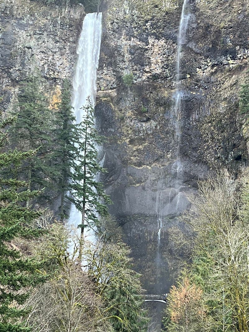 Photo by Brian Holle (Google)