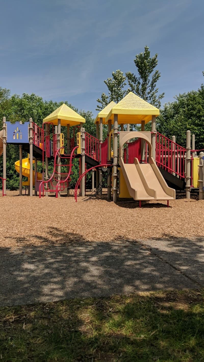 Photo by Ashley Kamren (Google)