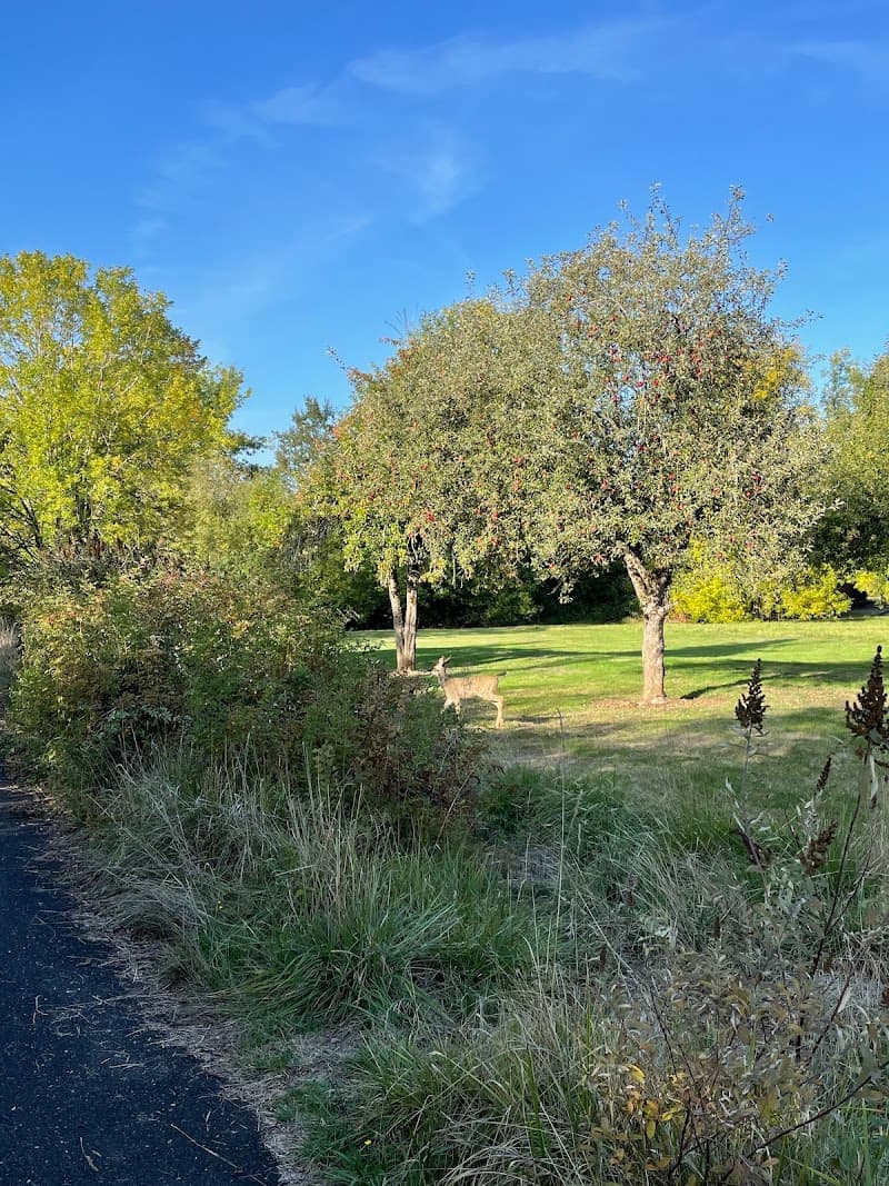 Photo by Olivia C (Google)