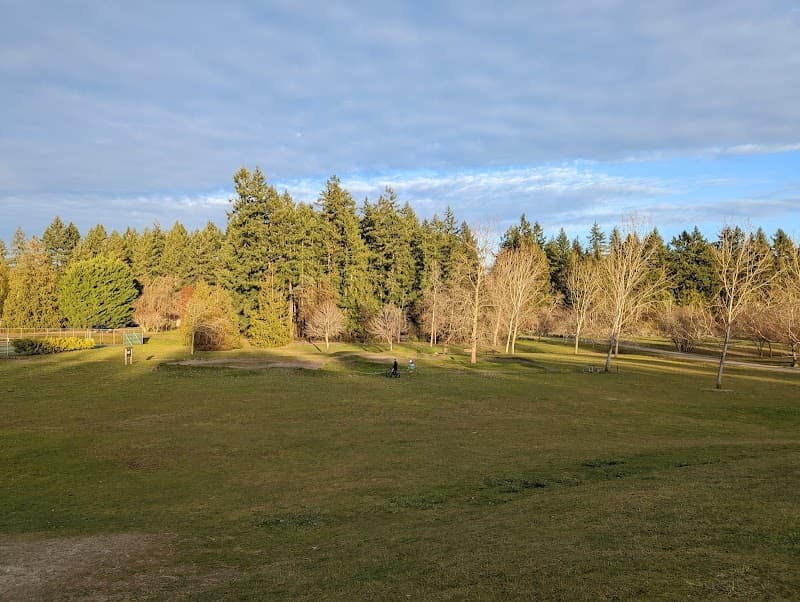 Photo by Abby Kacena (Google)