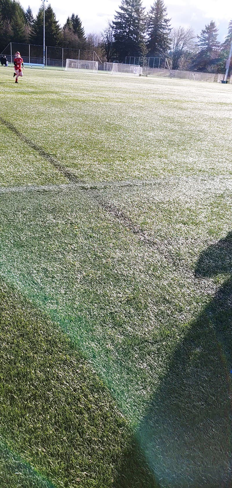 Photo by Elizabeth Kuhl (Google)