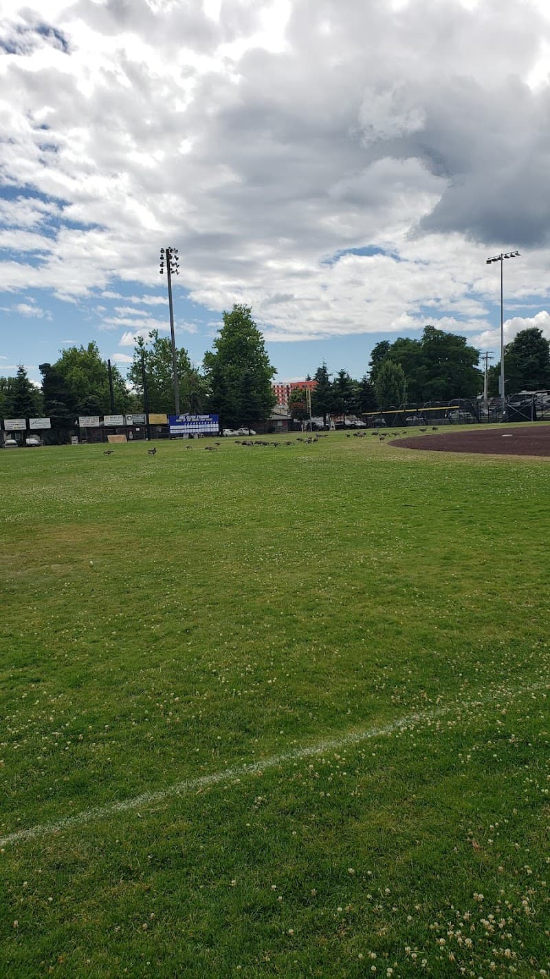 Photo by Devin Rolland (Google)