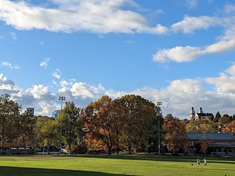 Photo by Gurupad S. Hegde (Google)