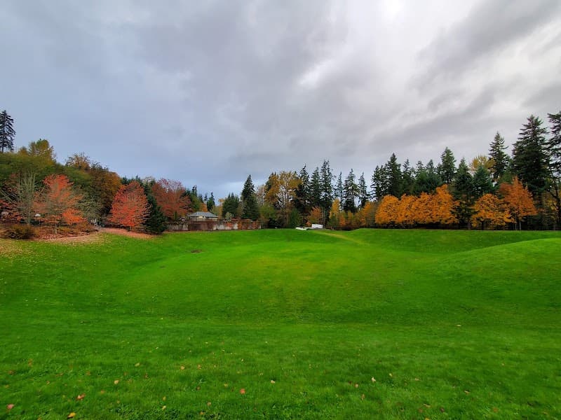 Photo by Dumitru Otel (Google)