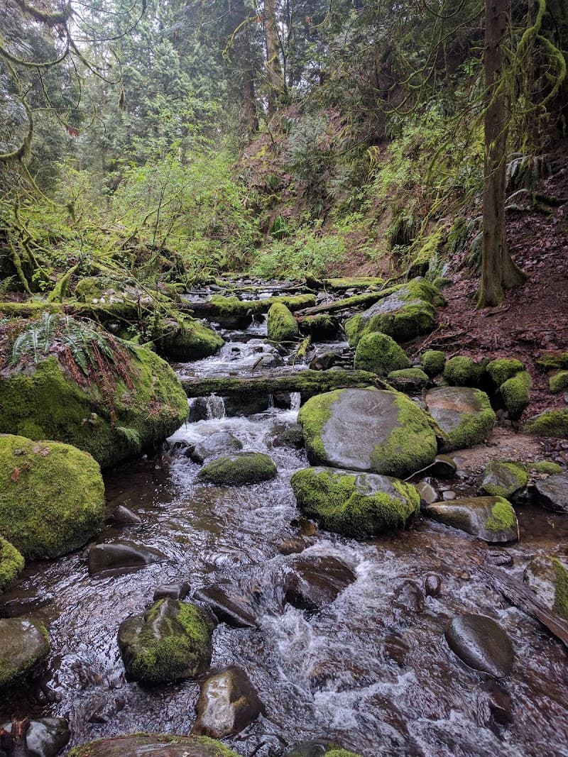 Lakemont Community Park