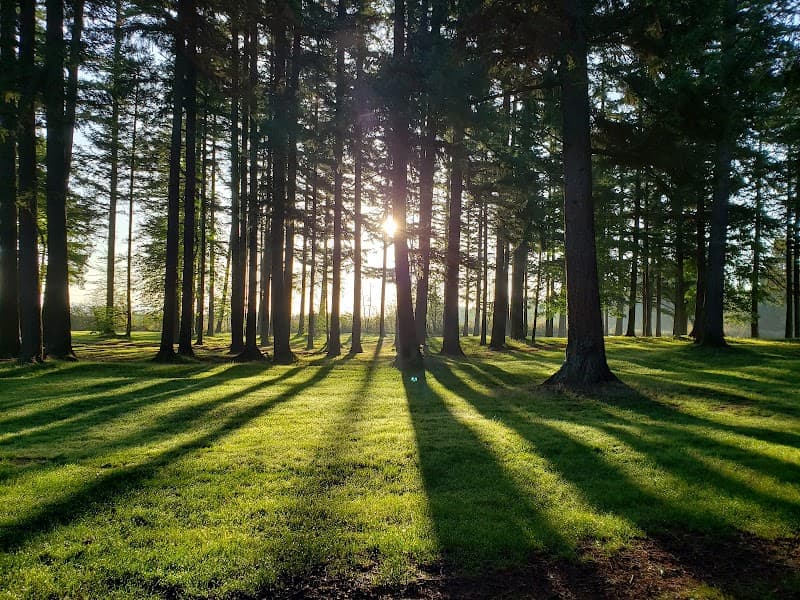 Photo by Jack Young (Google)