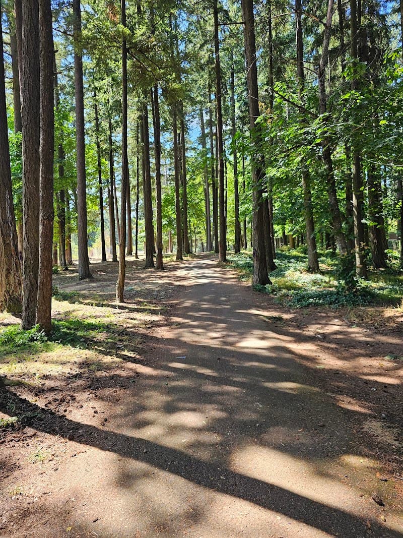 Photo by WinterAquarius (Google)