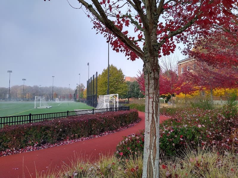 Photo by Annel Contreras (Google)