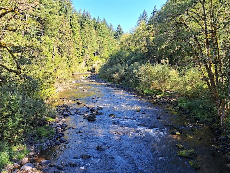 Photo by Markus “markobear1” (Google)