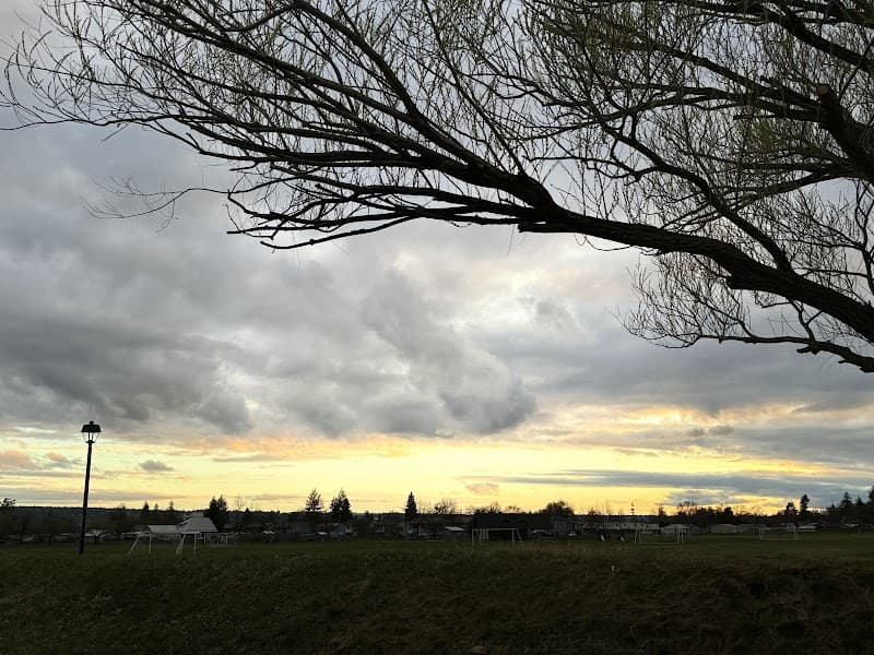 Photo by Katie Anne (Google)