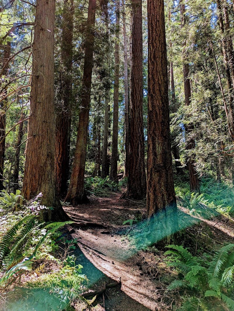 Photo by Verne Beck (Google)