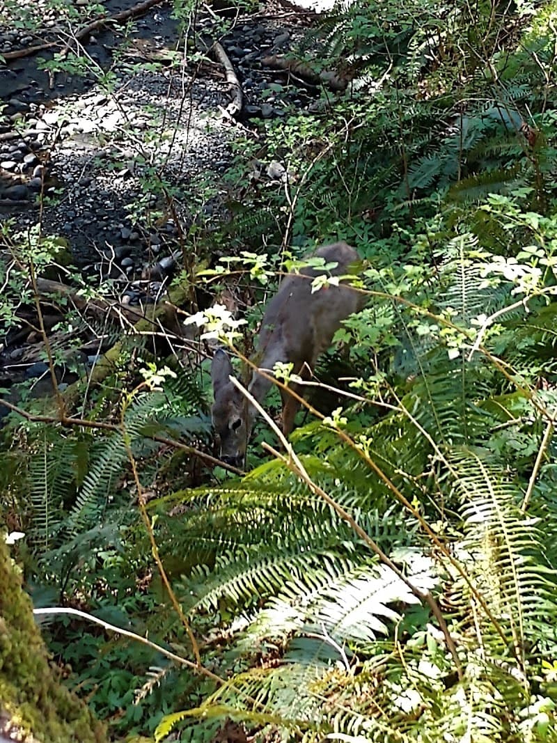 Photo by Matthew Crismali (Google)